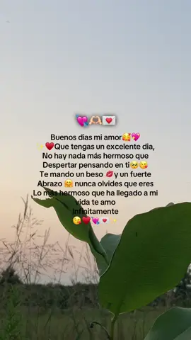 💘🥰 #buenosdiasmiamor😍🥰 #buenosdías #paratii #amor #lindodia #teamo #❤️🥰 #rolitasparadedicar #parejas #amor #fypシ 