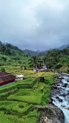📍kp.wangun ds.gelarwangi Cidaun cianjur selatan yg Lg viral.. #lagusunda  #pedesaan 