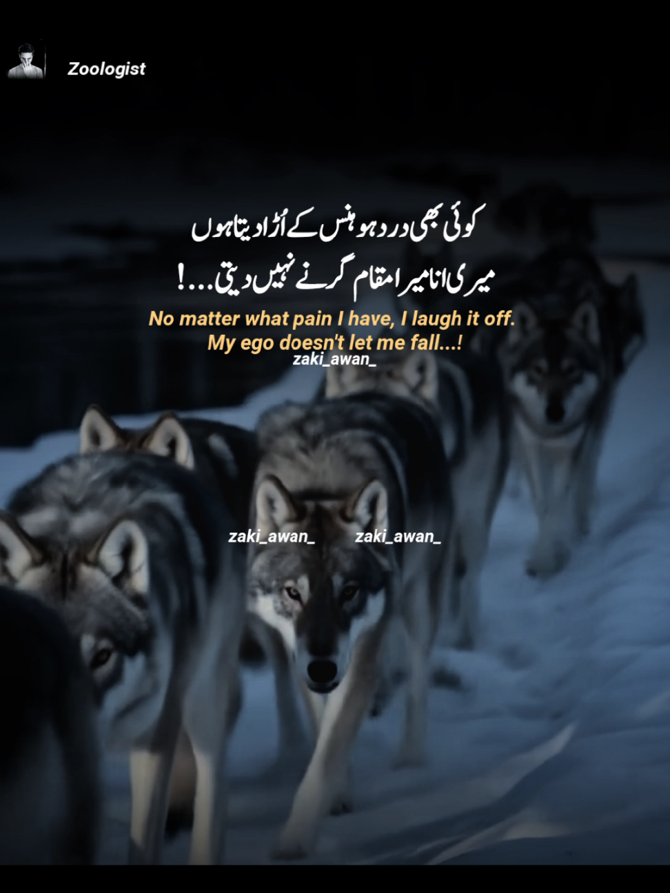 #creatorsearchinsights #14august #independenceday #poetry #shayri #zaki_awan_ 
