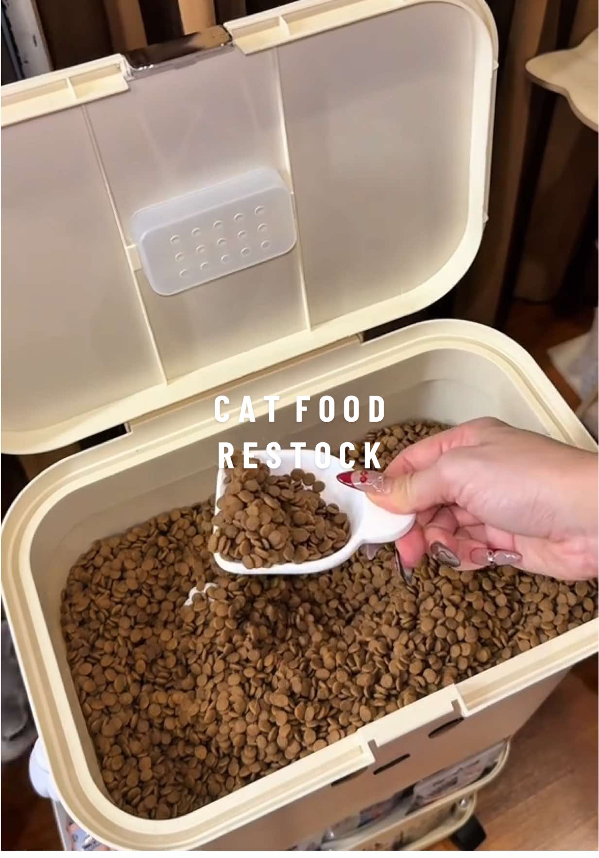 ลูกค้าก็มารอตั้งแต่ร้านยังไม่เปิด 😆 #cat #restock #catoftiktok #catfood #kaniva #longervideos #Mmynster #fyp 
