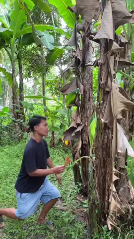 Kilig era #bisayavstagalog #pagpag #punongsaging #bisaya #tagalog 