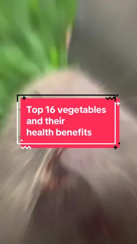 Top 16 vegetables and their health benefits.#food #life #natural #naturalhealing #Fruit #fyp #health 
