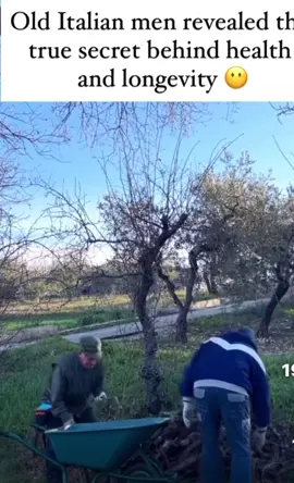 Old Italian man Revials the true sicret behind ealth and longevity!#Italianman#health#longevity#lifeisbeautyful❤ #enjoilife🥰 #simplelife#life#freedom