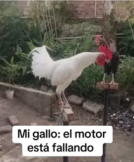 Cuando el motor está fallando 