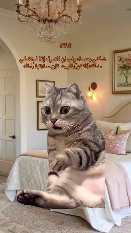 عفوا يا جماعه تحت الذقن 🧡 #fyp #foryou #viral #viralvideo #Stitch #explore #explore #foryoupage #fyppppppppppppppppppppppp #viraltiktok #viralvideo 