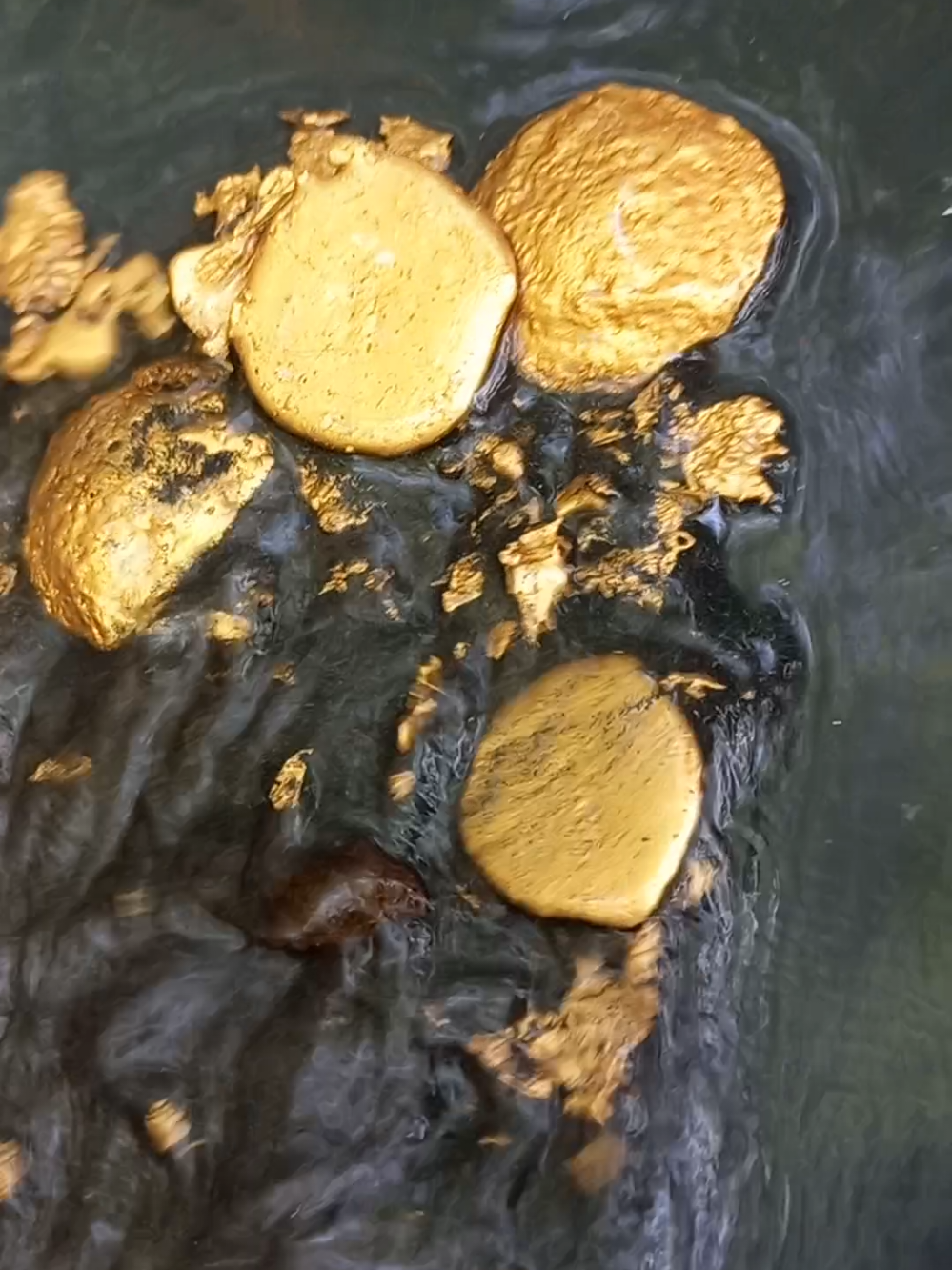 This young man found thousands of gold grains stranded on the river bank #goldminning #goldpanning #goldnuggets #goldhunter #goldrush #puregold #minningforgold  #vediovirall #vedioemas #goldvedio #goldprospecting #anaktambang #mendulanngemas 