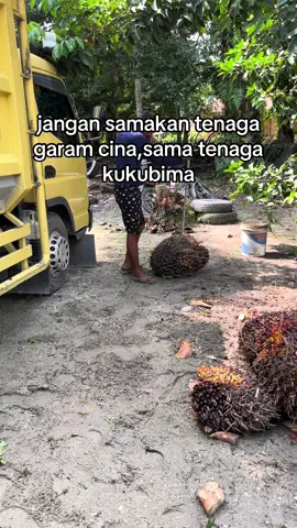 wajar la kalo ga kuat cuma kukubima susu#sawittiktok🌴🌴🌴 #kerjakeras #sawitriau #kulisawit #pemuatsawitriau #petanisawit🌴 