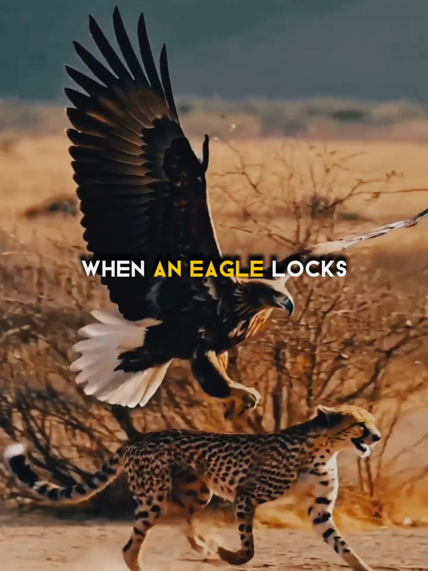 Motivation Video🔥😎 Be like Eagle🦅 #motivation #motivacional #success #quotes #foryou 