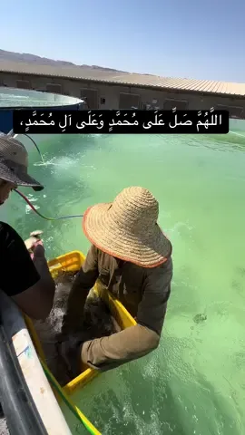 اللهم إني أسألك رزقًا طيبًا مباركًا فيه، واسعًا حلالًا،  لا تحوجني لأحد سواك.