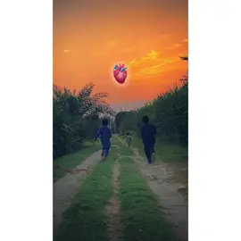 #100kviews #viewsproblem #unfreezemyacount #pleaseunfrezzemyaccount #bestwords #bestview #poetry #treanding #panjabi 