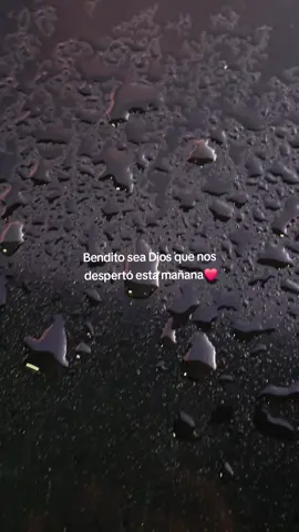 Buenos dias ♥️🥰 #goodmorning #buenosdias #graciasdios #gratitude #paratiiiiiiiiiiiiiiiiiiiiiiiiiiiiiii #fypp #sunrise 
