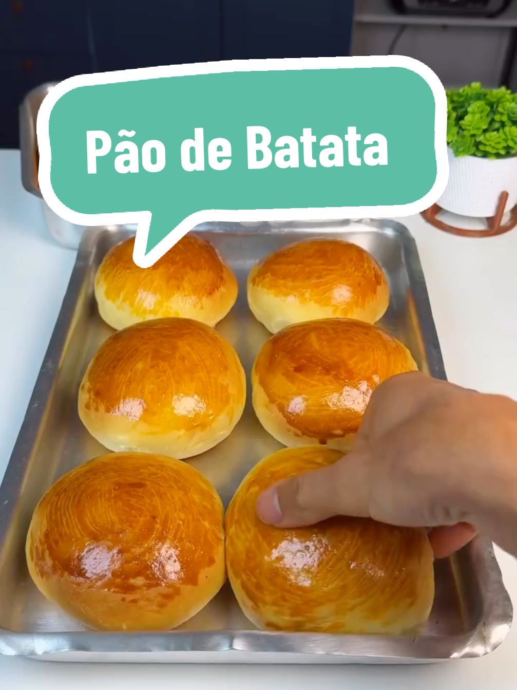 Pão de batata: macio, fofinho e irresistível! ​Aprenda a fazer essa receita de pão de batata que é sucesso garantido. Com uma massa supermacia e saborosa, é perfeita para o café da manhã, lanche da tarde ou para acompanhar qualquer refeição. A batata cozida e amassada é o segredo para deixar a massa incrivelmente fofinha e úmida por mais tempo. ​Ingredientes ​2 ovos ​1 xícara (240ml) de leite morno ​50ml de óleo ​10g de fermento biológico seco ​1 e 1/2 colher de sopa de açúcar ​1 colher de sopa de manteiga ou margarina ​1 batata média cozida e amassada (cerca de 100-150g) ​Aproximadamente 500g de farinha de trigo ​1/2 colher de sopa de sal ​1 gema para pincelar ​Modo de preparo ​Em uma tigela grande, misture o leite morno, o fermento e o açúcar. Deixe descansar por cerca de 5 a 10 minutos, até formar uma espuminha. ​Adicione os ovos, o óleo, a manteiga e a batata amassada. Misture bem até que todos os ingredientes estejam incorporados. ​Aos poucos, vá adicionando a farinha de trigo e o sal. Sove a massa em uma superfície enfarinhada por cerca de 10 minutos, ou até que fique lisa, macia e elástica. ​Coloque a massa em uma tigela untada, cubra com um pano e deixe crescer em um lugar quente por aproximadamente 1 hora, ou até dobrar de volume. ​Após o crescimento, divida a massa em porções e modele os pães no formato desejado. Coloque-os em uma assadeira untada, cubra novamente e deixe crescer por mais 30 minutos. ​Pincele os pães com a gema batida e leve para assar em forno preaquecido a 180°C por cerca de 25 a 30 minutos, ou até que fiquem dourados. ​Dicas extras ​Para pães mais recheados: Recheie os pães com queijo, catupiry, presunto e queijo ou o que a sua imaginação permitir. ​Para um pão mais macio ainda: Use o leite em temperatura ambiente para não matar o fermento. ​Não tem batata cozida? Você pode substituir a batata cozida por mandioquinha ou abóbora cozida. . . . Créditos: @maisreceitas . . . . ​#pãodebatata #receitas #pão #paocaseiro #lanchedatarde #receitafacil #receitacaseira #culinaria #cozinhar #instafood #comidacaseira #pãozinho #cafedamanha