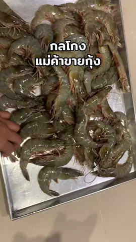 ซื้อกุ้งใหญ่โดนสอดใส้กุ้งจิ๋ว #พัทยา #นาเกลือ #ตลาดลานโพธิ์ #กุ้งขาว #กลโกง 