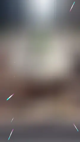 #CapCut 