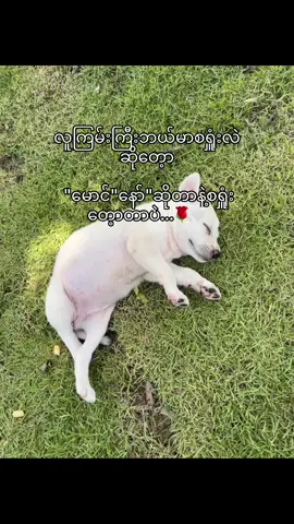 ကောင်းမလေးစကားအလေးနစ်ထား😋🤍@🤍 #viral #trending #viralvideo #fpy #views 