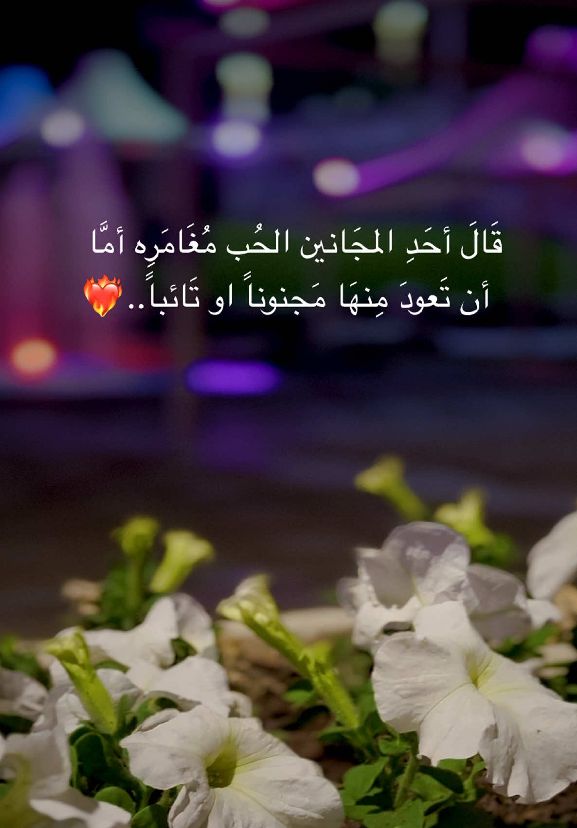 عباراتكم❤️🧸#عباراتكم_الفخمه📿📌تجبرني_انشر #foryoupage #foryou #تصويري #اقتباسات #قونيا________________قونيا😌💙 #قونيا_علاءالدين #إعادة_النشر🔄 #عباراتكم #حزن #العراق #سوريا #حلب #قونيا 