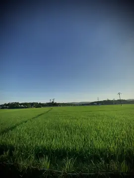 “我晚上隐藏我的怀旧情绪，这样每天早上我的心都会感到空虚。” 
