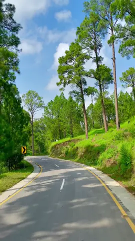 Its_Trending.❤️‍🔥Lehtrar_Road.🌲#foryou #foryoupage #moinsatti1 #trending #viral #fyp 