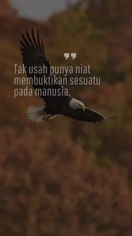 Assalamualaikum  #fyppppppシ゚🌹 #motivasihidup #katakata#viral#tiktokmalaysia 