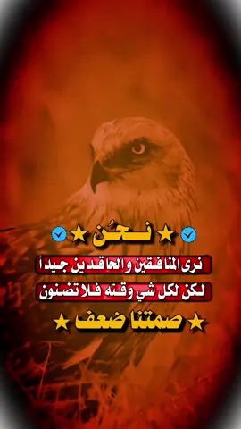 #استوريات #عبارات_جميلة_وقويه😉🖤 #مجرد________ذووووووق🎶🎵💞 #اكسبلورexplore #fypシ゚viral🖤tiktok☆♡🦋myvideo 