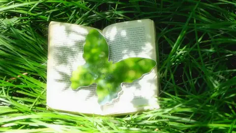 Giữa vòng xoáy vội vàng của cuộc sống, hãy để tâm hồn lắng lại trước tiếng lá xào xạc, tiếng nước róc rách và mùi hương trong trẻo của đất trời. Ở nơi thiên nhiên ôm ấp, mọi ưu phiền đều tan chảy, chỉ còn lại sự bình yên dịu dàng như một cái ôm ấm áp cho trái tim.#chualanh #thiennhien #thugian #yenbinh #chill 