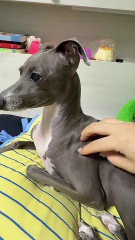 슬라임띠니