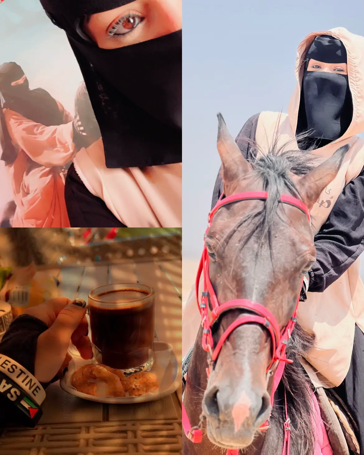 #shimaa_hemdan #خيل_وخياله🐎 #foryoupage #fypシ゚ #horsesoftiktok 