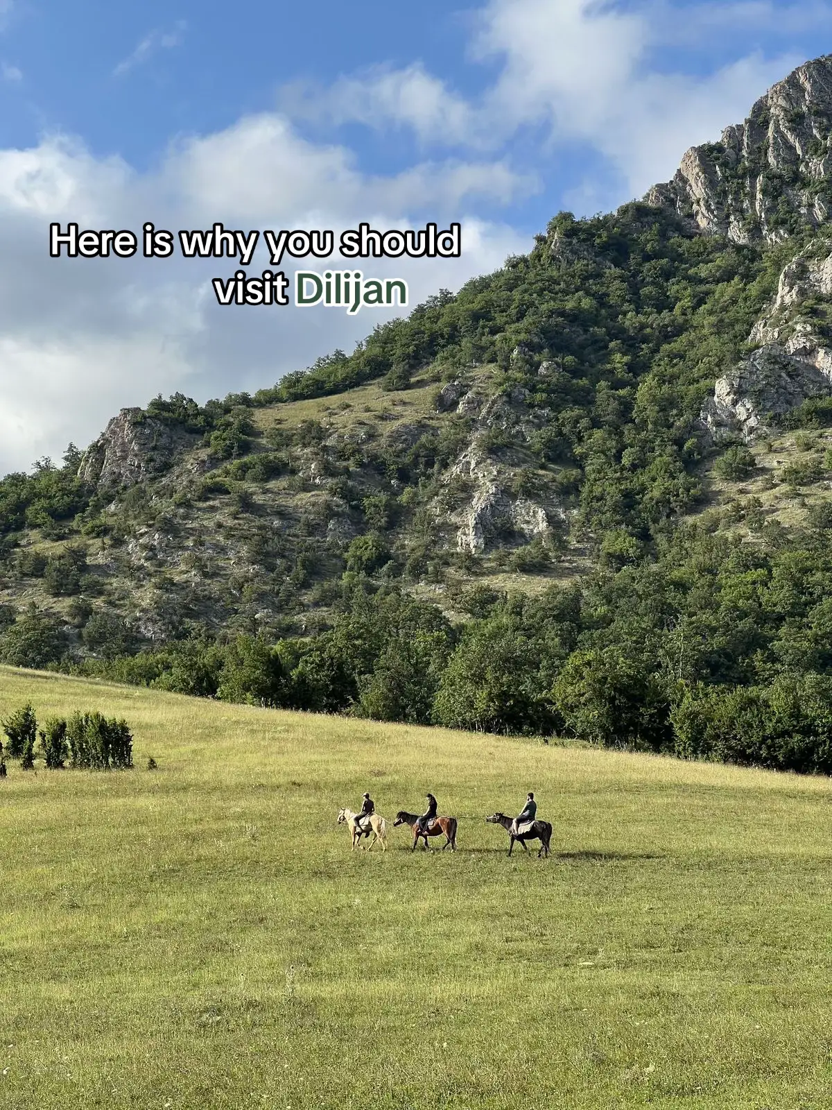 Armenian Switzerland🇦🇲🇦🇲🌳🍃#hayastan #armenia #dilijan #tiktok 