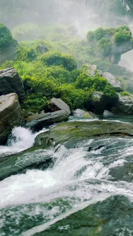 This is Heaven 🍃✨🩷                  #waterfall #neture #travel #neturevibes #peace #fyp #foryou #visitsrilanka #lakshapana_waterfall😍🌪 #kusalsameera #travelvideography🎥 