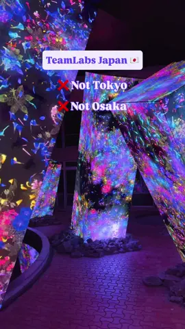 TeamLab: A Forest Where Gods Live in Saga is located within Mifuneyama Rakuen, nestled in a forest 🌳   Book your tickets in advance on Klook using code “ALIKAINWANDERLUSTKLOOK” for up to 10% off 🥰 🕕 Open 7 pm to 10:30 pm everyday. Make sure to get here at 7pm so you have time to watch the shows that are held at the pond later in the evening 🤩 What I love most about this one is that it’s not as busy as the ones in Tokyo and Osaka 😆 If you’re visiting during the summer it is mostly outside so you will get very hot! Bring plenty of water and a fan if you have one 🥵 We saw 2 Tanuki’s here (Japanese raccoon) and a small snake 🐍  📌 Save this post for your trip to Japan #teamlab #teamlabsaga #saga 