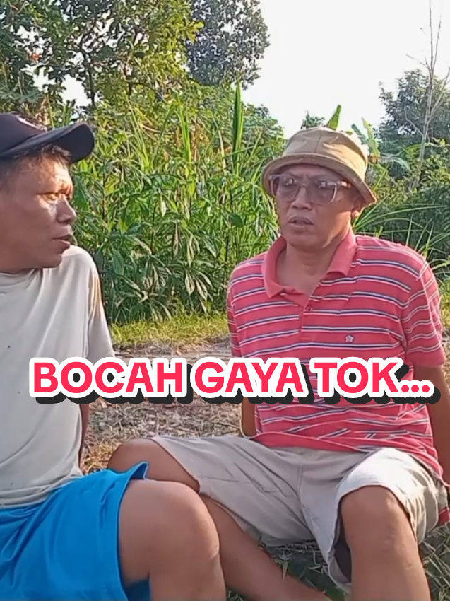 BOCAH GAYA TOK...#promomakanmerdeka #fypdong #fyp #ceritalucu #tiktoklive #dwkofficial #nyanyibareng 