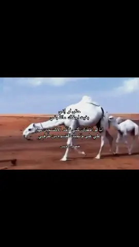 حتى لو إني بغيت اجفاك ماتنجفي انا لو افقدك كني فاقد الاكسجين عهد علي على م تجيك القسوه من طرفي #قصيد  #هوجاس  #fyp  #العتيبي  #الرويس  