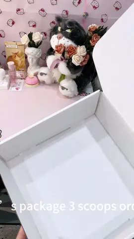 @Jane thank you order!!!! Hope you like 😘😘 #fyusa #fyusa🇺🇸 #luckyscoop #SmallBusiness #cute #gift #mysteryscoop #packingorders #mysterypack #asmr 