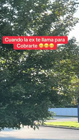 Cuando te llama la ex para cobrarte #LIVEIncentiveProgram #GenuineInteractionMatters #PaidPartnership 