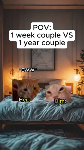 Can you guys relate?😂❤️ #catmemes #relatable #Relationship 