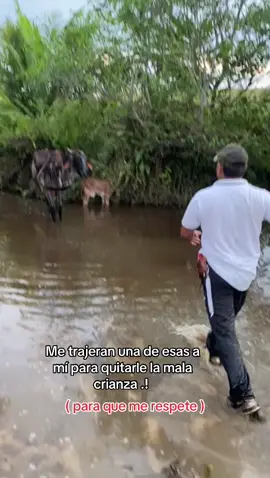 #fyppppppppppppppppppppppp #humortiktok #viraltiktok #finca #diomedesdiaz casi pierden al nene 