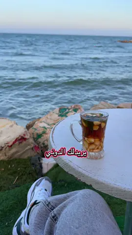 يا غالية يا أم القدر العالي 🇹🇳 _______________________________ #تونس #تونس🇹🇳 #تونس_المغرب_الجزائر #المرسى #سيديبوسعيد #حلق_الواد_تونس  #tunisie #tunisia #tunisia🇹🇳 #marsa #sidibousaid #lagoulette #visittunisia #viral #explore #fyp 