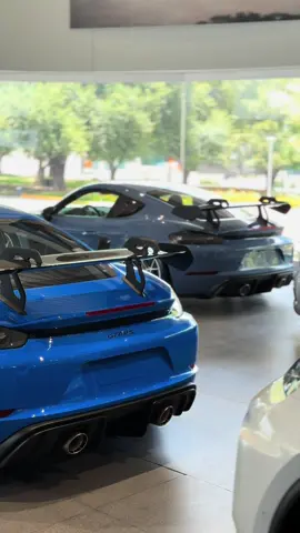 Porsche 718 GT4RS 📍Porsche Calzada del Valle #porschelife #porsche718cayman #porscheclub #porschedealership @Porsche 
