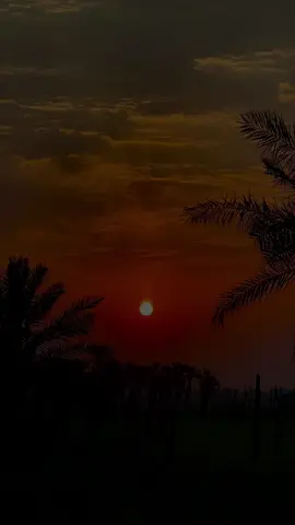 الحياة متعبة جدا لولا الله وأهل البيت لهلكنا.🙂#💔💔💔💔💔💔💔💔💔💔💔💔💔 #تصويري📷 #تصويري_احترافي_الاجواء👌🏻🕊😴 #كسبلور_explor #ياعلي_مولا_عَلَيہِ_السّلام #محضوره_من_الاكسبلور_والمشاهدات #تصويري #