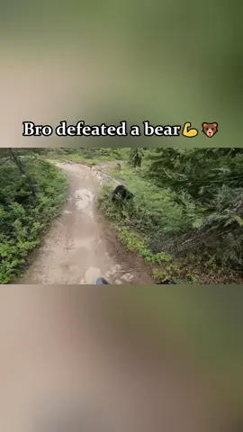 A nightmare bear🐻#core #animals #foryour #fyp #fypシ #us #funny #pet #pets #funnyanimals #funnyvideos  #funnytiktok