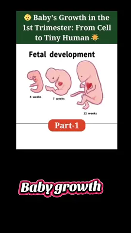 #howtogetpregnant #ultrasound #trending #how 