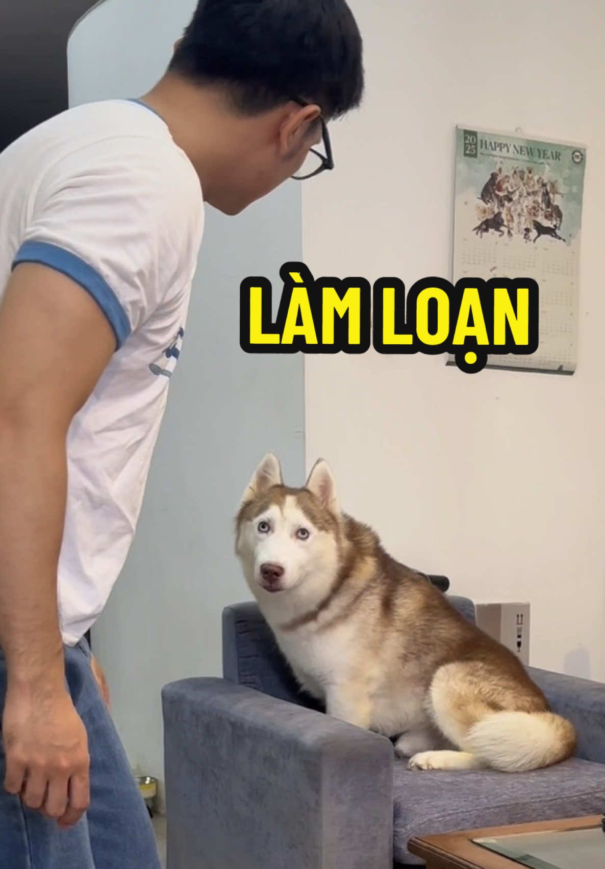 Thầy phán: Đường công việc của con có tuổi Tuất cản trở #butin #dogsoftiktok 
