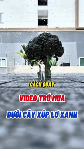Cách quay video đứng trú mưa dưới gốc cây súp lơ. #havanduan #giacatduan #EduTok #LearnOnTikTok #cachquayvideo 