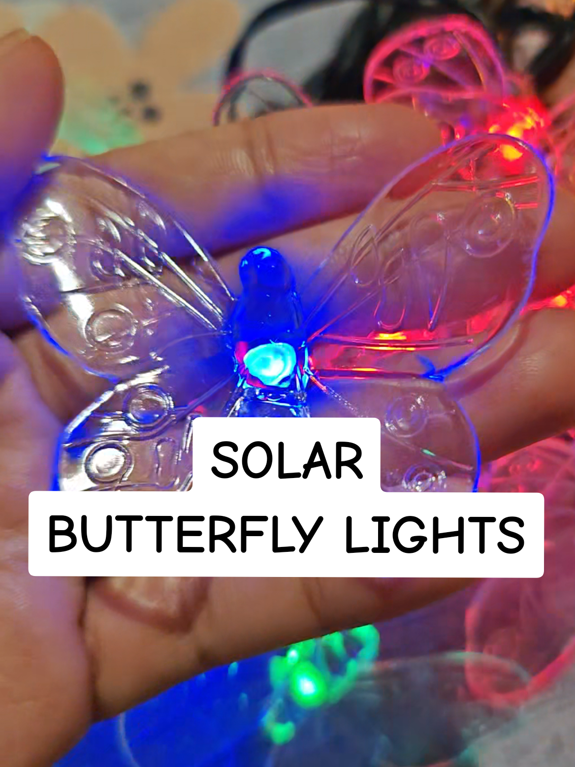 solar butterfly light  #solarchristmaslights #butterflylight #christmaslights #christmasdecor 