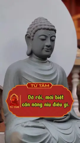 Vỡ rồi, mới biết cần nâng niu điều gì. #tutam #lienhoa #phatphap#phatphapnhiemmau #phatphap #xuhuong
