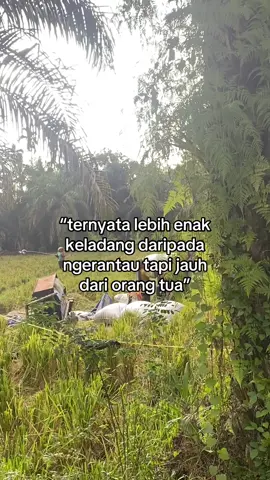 ni namai#anakparjalang 