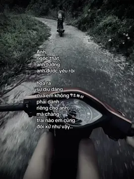 “anh ngốc thật..”