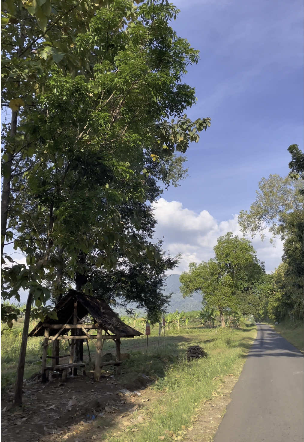 Madiun bagian gunung #madiun24jam #madiun 