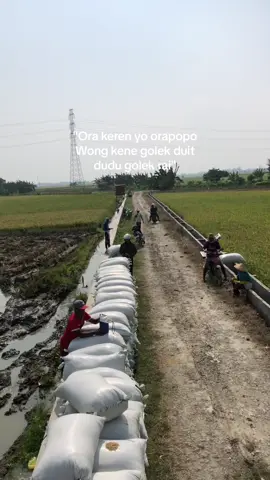 Sessss#gabahbalap🌾 #perintismuda #maxibimo102ss #petaniindonesia🇮🇩🇮🇩🇮🇩🌿🌿 #fypシ 