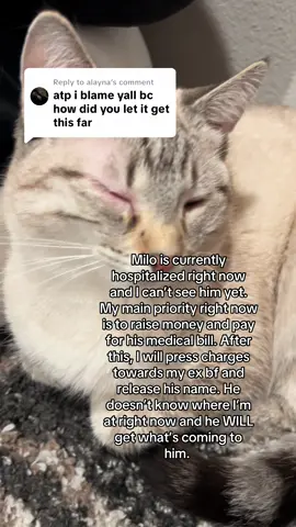 Replying to @alayna GoFundMe is in Bio. Please donate and help save Milo #fyp #abuse 